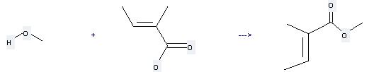 Tiglic acid can be used to produce (E)-2-methyl-but-2-enoic acid methyl ester by heating